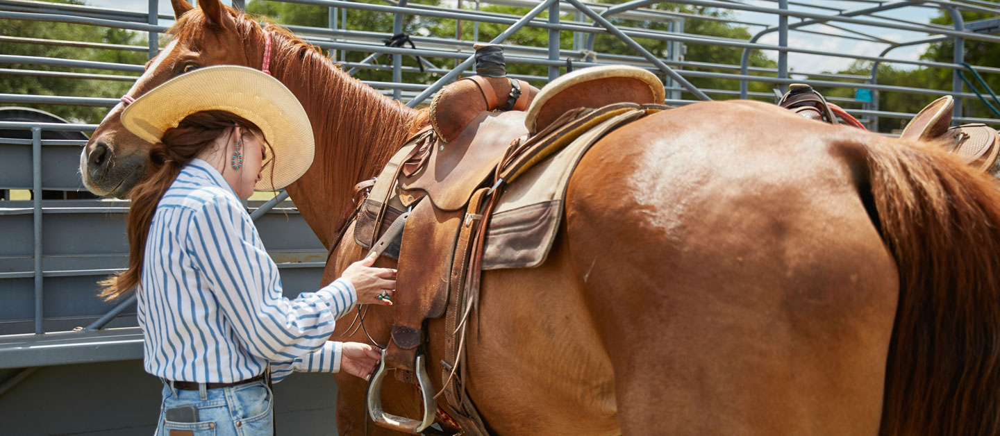 A woman saddling a horse that is tied to the trailer.